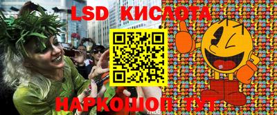гидра Кандалакша