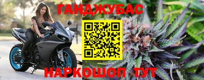 гидра Кандалакша